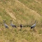 Chatrou Chatelraould-Saint-Louvent