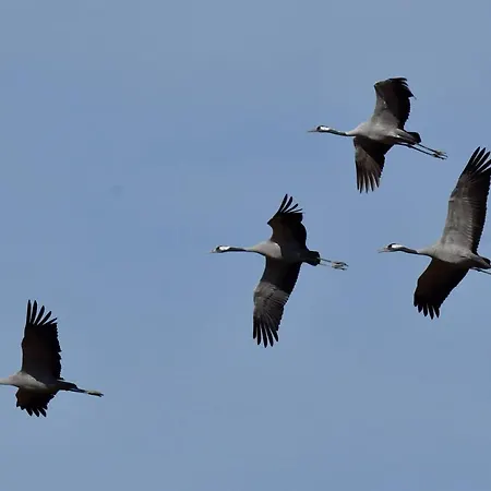 Appartamento Chatrou